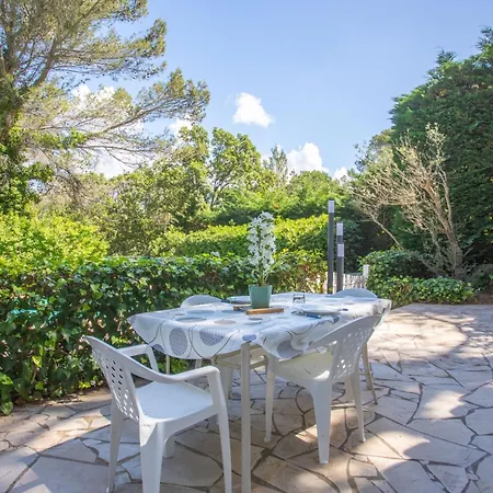 Les Cyclamens- Les Oliviers