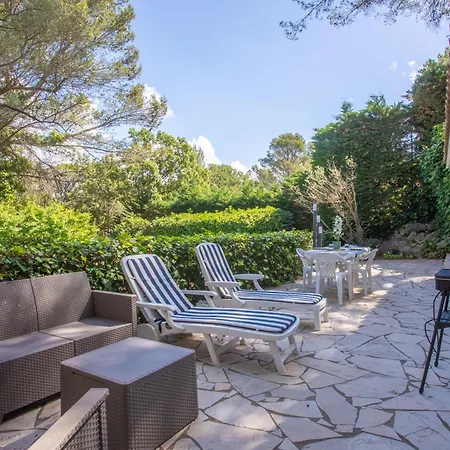 Les Cyclamens- Les Oliviers