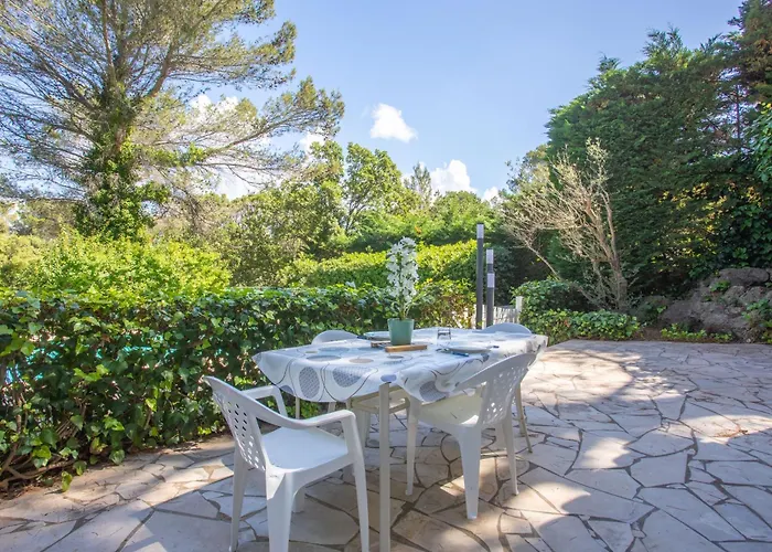 Les Cyclamens- Les Oliviers